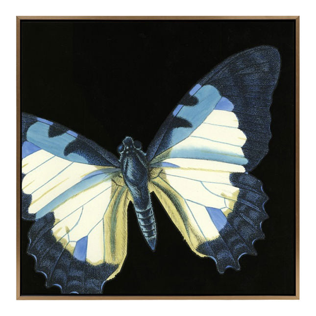 Mall Dramatic Butterflies I - Made To Order