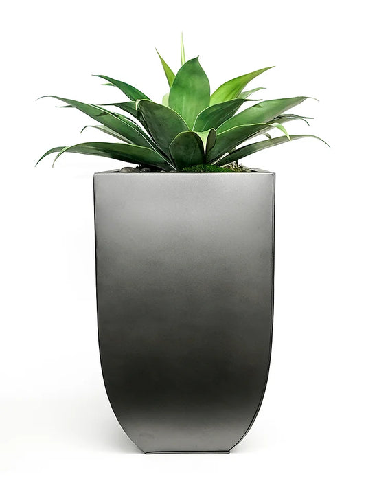AGAVE IN TALL BLACK ZINC