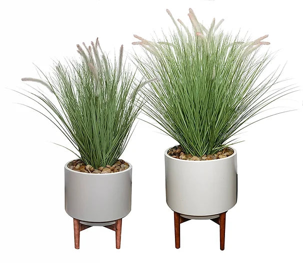 SET OF 2 FOUNTAIN GRASS POTS