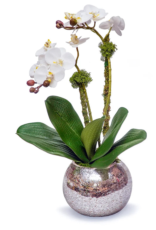 MINI ORCHID IN SLVR/GLD MERCURY GLASS GLOBE