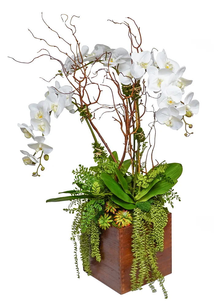 WOOD BOX WITH ORCHIDS/ FERN